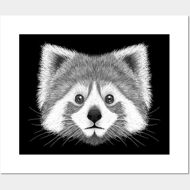 Red Panda B&W Wall Art by Rohan Dahotre